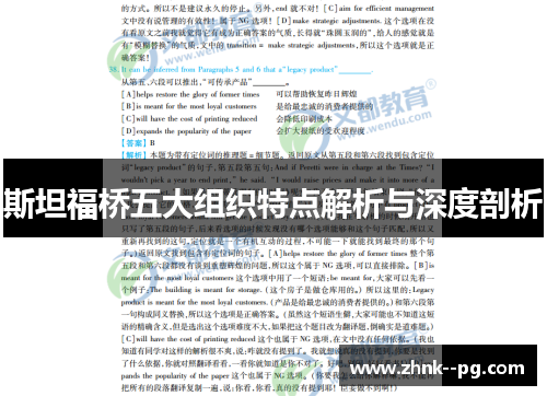 斯坦福桥五大组织特点解析与深度剖析