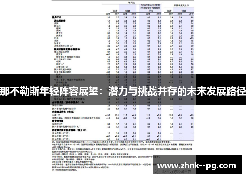 那不勒斯年轻阵容展望：潜力与挑战并存的未来发展路径
